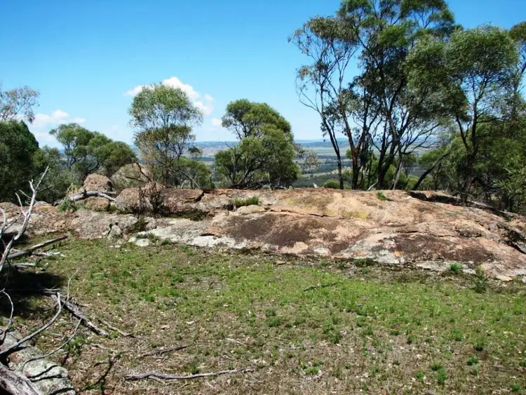 Fifth view of Homely rural property listing, 239 Cypress Drive, Mudgee NSW 2850