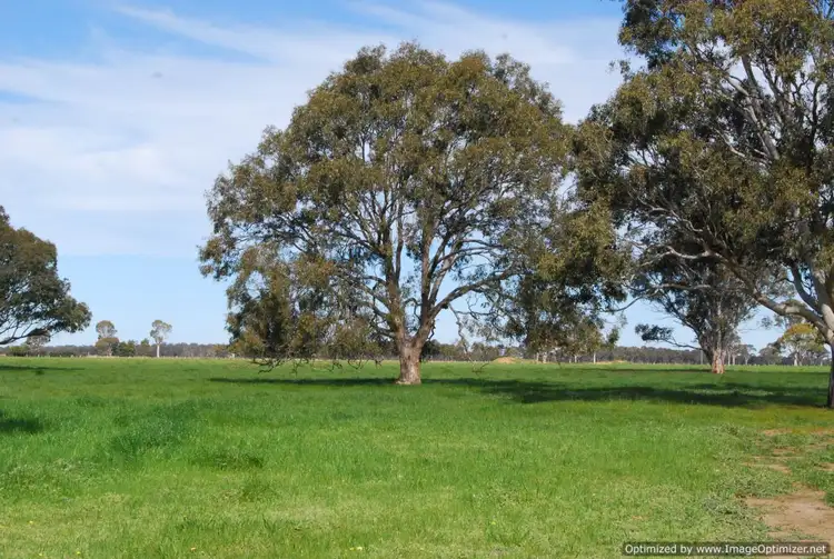 155 Dahlsens Road, Bairnsdale VIC 3875