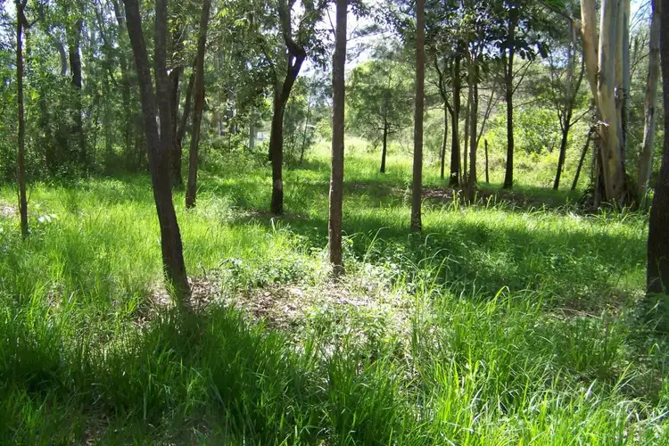 Third view of Homely land listing, 80 PERULPA DR, Lamb Island QLD 4184