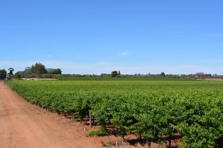 Fifth view of Homely land listing, 54 Yelta Road North, Merbein VIC 3505