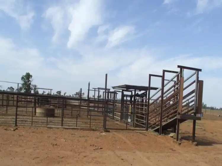 Sixth view of Homely rural property listing, 17741 Bollon Road, Bollon QLD 4488