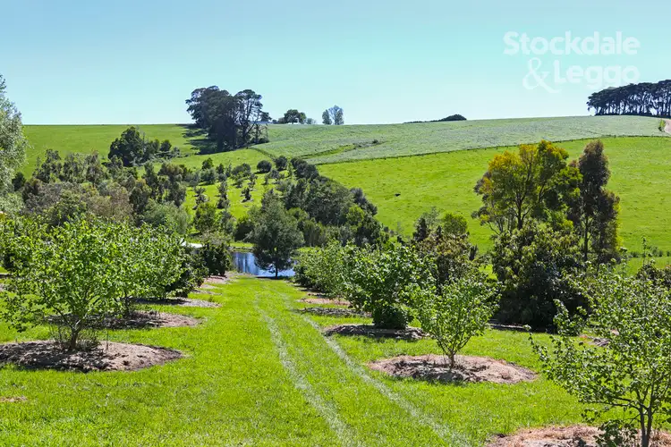30 Hydes Road, Mardan VIC 3953
