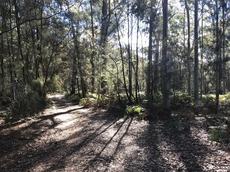 Main view of Homely land listing, 185 Brou Lake Road, Bodalla NSW 2545