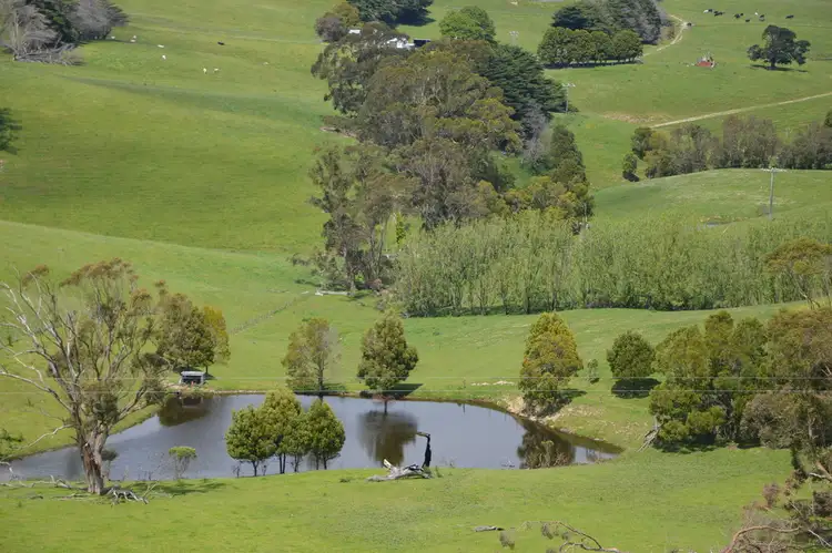 Fourth view of Homely rural property listing, 725 Andersons Inlet Road, Bena VIC 3946