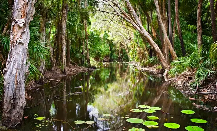 Sixth view of Homely apartment listing, Address available on request