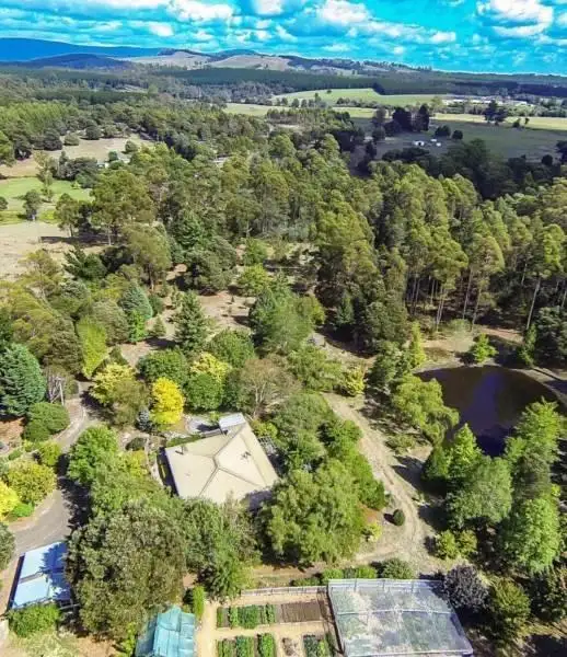 Main view of Homely house listing, 257 TONGANAH ROAD, Cuckoo TAS 7260