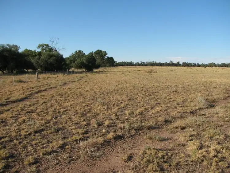 Sixth view of Homely rural property listing, Bushells, Stumpy Lane Rd, Narrabri NSW 2390