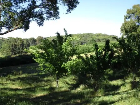 Second view of Homely land listing, lot 211 Sharps Road, Carey Gully SA 5144