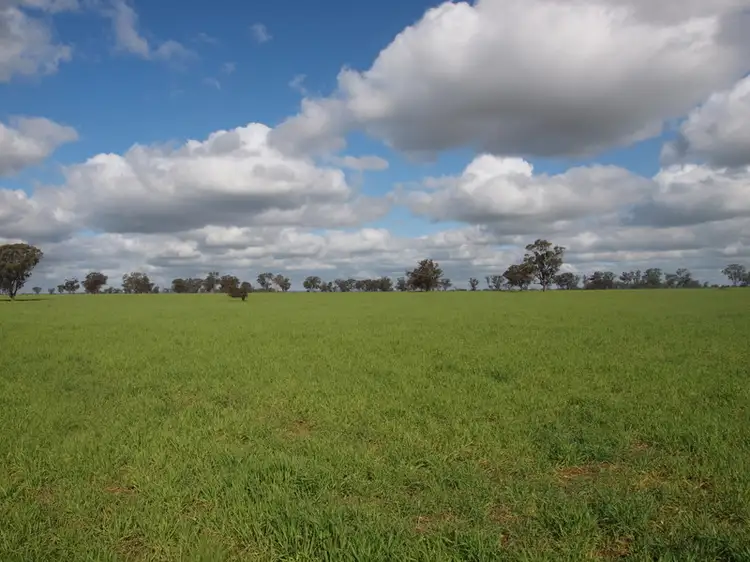 Second view of Homely rural property listing, - Yallambi, Bribbaree NSW 2594