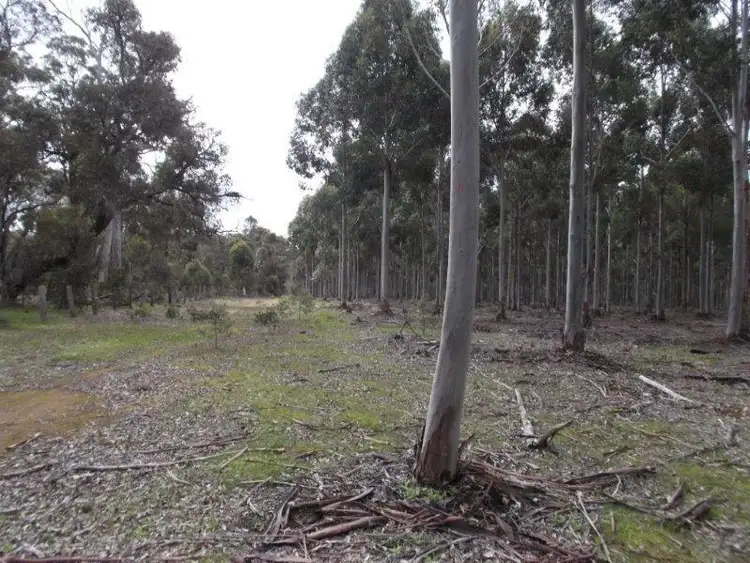 Sixth view of Homely rural property listing, LOT 2718 Ashley Road, Manjimup WA 6258
