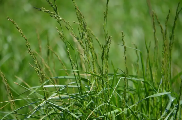 Sixth view of Homely rural property listing, Sec 57,109,213 Lake Hawdon Road, Robe SA 5276