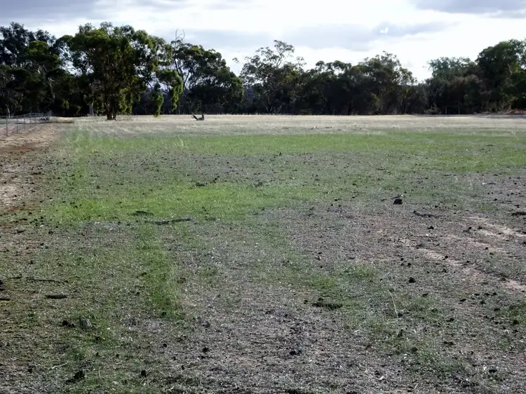 Fifth view of Homely rural property listing, 170 Bunmulling Rd, Popanyinning WA 6309
