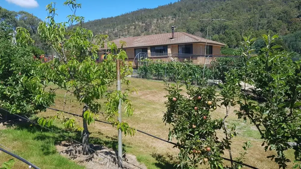Main view of Homely rural property listing, 462 Plenty Valley Road, Glenfern TAS 7140