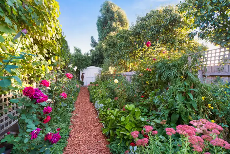 Sixth view of Homely house listing, 14 Carbine Court, New Gisborne VIC 3438