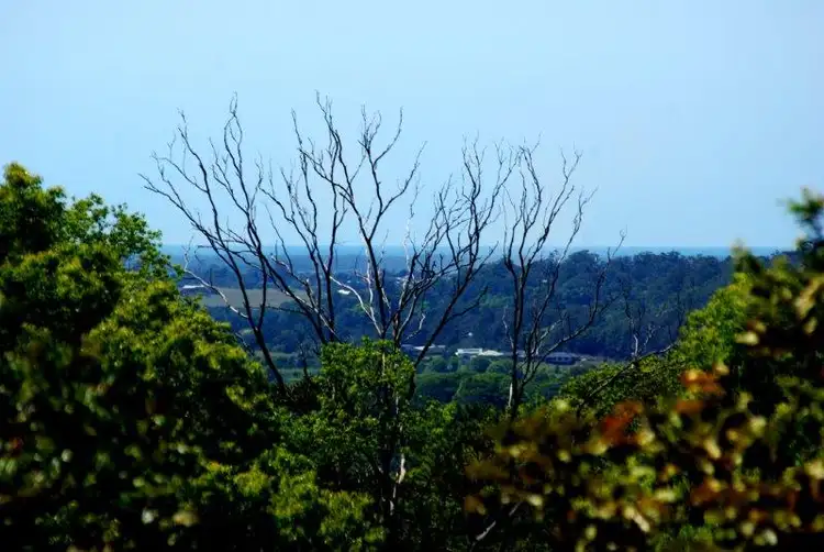 Second view of Homely house listing, 66 Nambour-Mapleton Road, Nambour QLD 4560