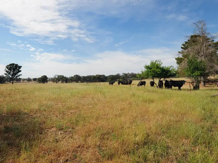 Fifth view of Homely rural property listing, 2787 HENRY LAWSON DVE, Gulgong NSW 2852