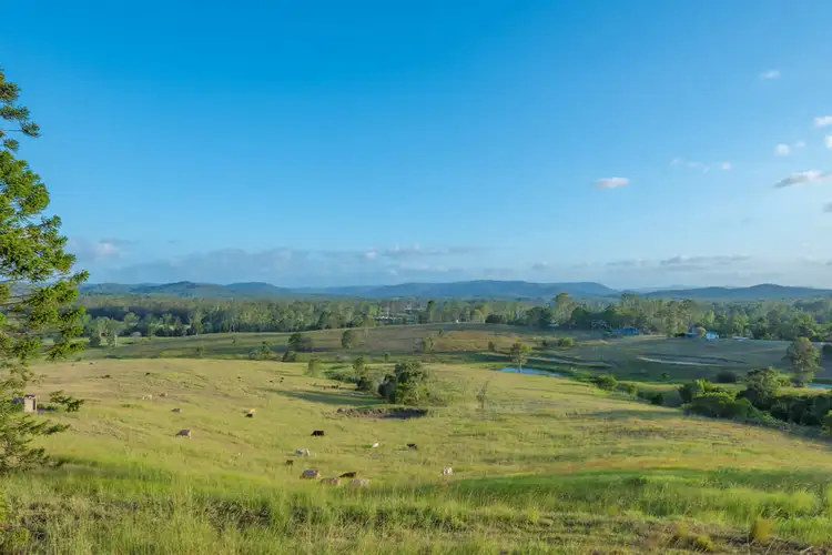 Second view of Homely rural property listing, 1393 Cooroy Belli Creek Road, Ridgewood QLD 4563