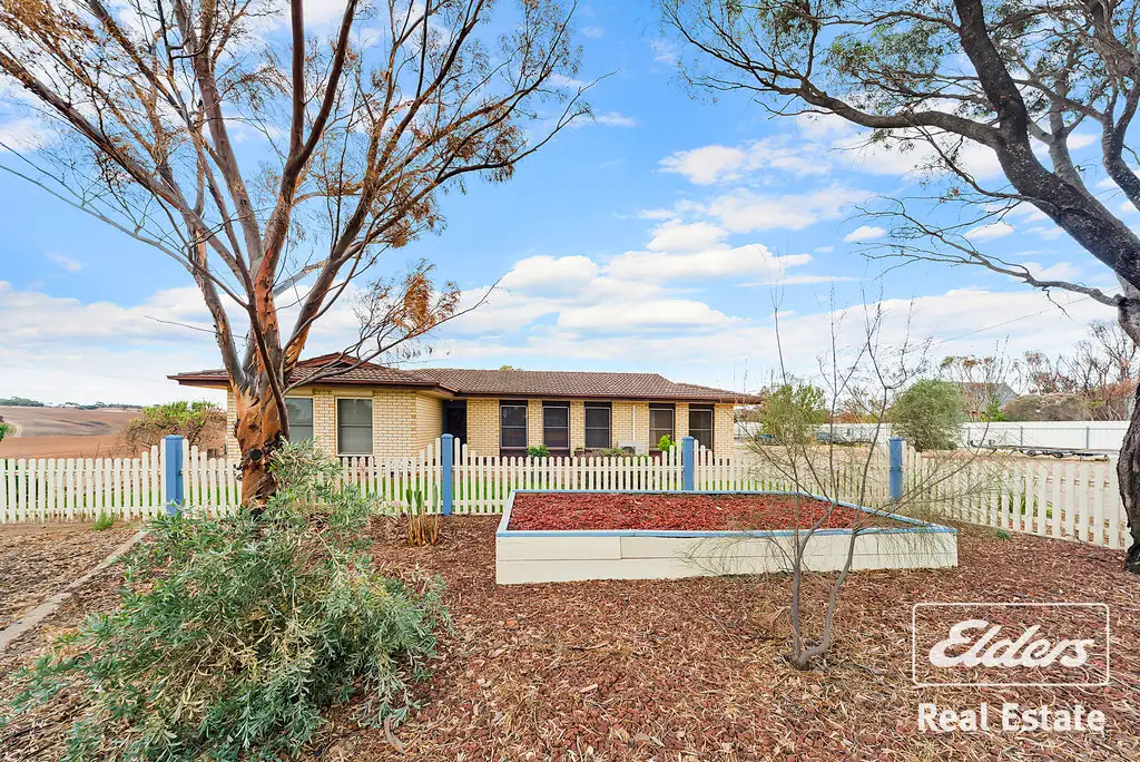 Main view of Homely house listing, 20 Albert Street, Hamley Bridge SA 5401