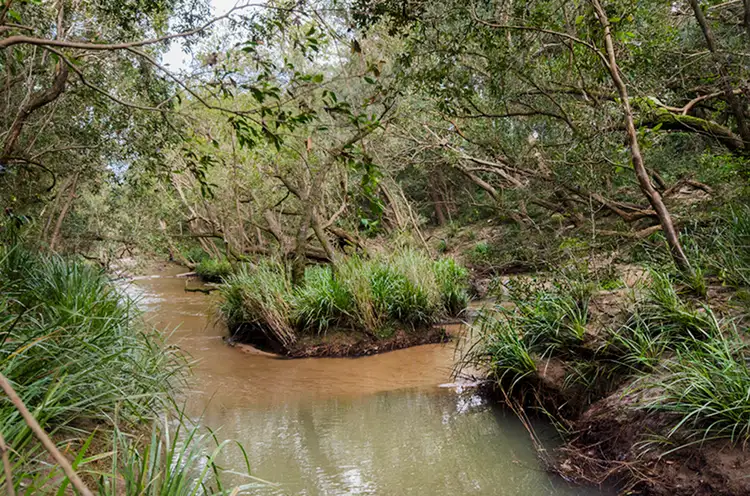 Fourth view of Homely rural property listing, 1121 Clarence Way, Whiteman Creek NSW 2460