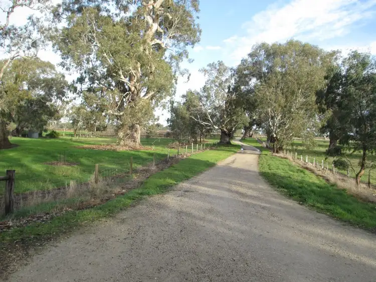 Fifth view of Homely land listing, 506 Kidman Vineyard Lane, Penola SA 5277