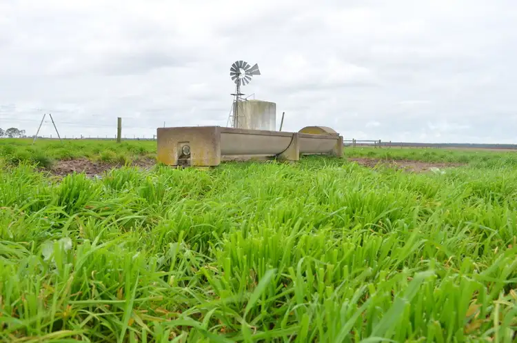 Seventh view of Homely rural property listing, 242 LDE Road, Millicent SA 5280