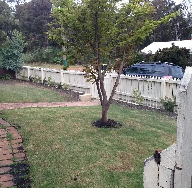 Fourth view of Homely house listing, 19 Marginata Crescent, Dwellingup WA 6213