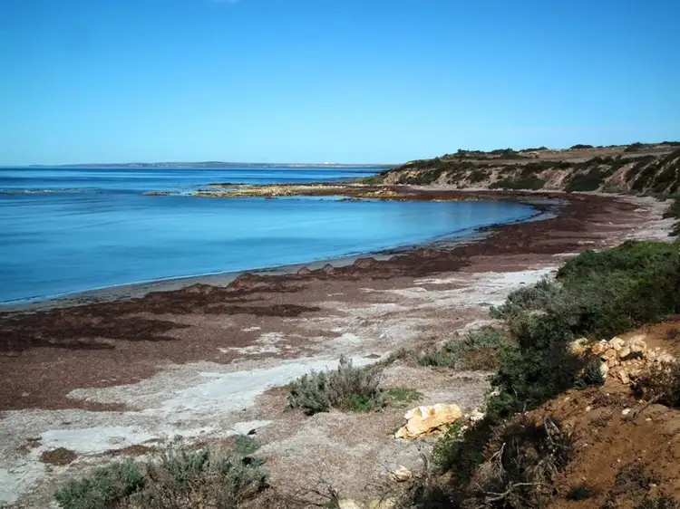 Main view of Homely rural property listing, Allotment 100 Hundred of Dixson, Arno Bay SA 5603
