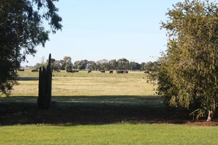 Seventh view of Homely rural property listing, 164 McSwains Road, Echuca VIC 3564