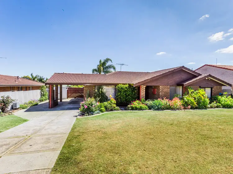 Main view of Homely house listing, 176 Winterfold Road, Kardinya WA 6163