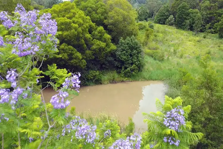 Sixth view of Homely land listing, 265 Tuntable Falls Road, Nimbin NSW 2480