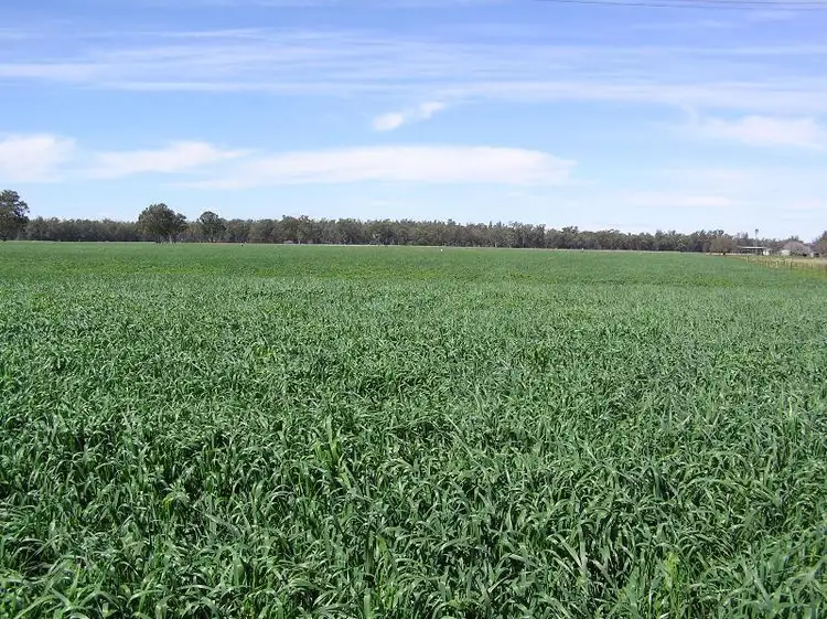 Second view of Homely rural property listing, lot 2 Kelvin Rd, Gunnedah NSW 2380