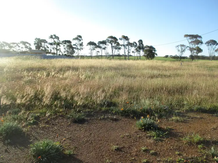 Second view of Homely land listing, 1 Millard Drive, Three Springs WA 6519