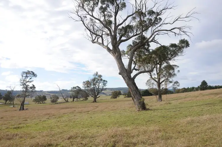 Fifth view of Homely rural property listing, 33 Carribee Road, Moss Vale NSW 2577
