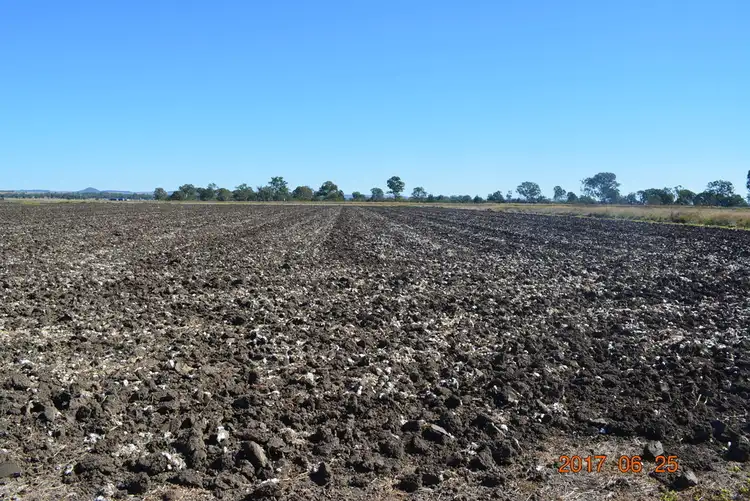 Sixth view of Homely rural property listing, 466 Wheatlands Loop Rd, Wondai QLD 4606