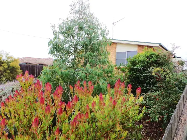 Main view of Homely house listing, 14 Meredith Street, Port Sorell TAS 7307