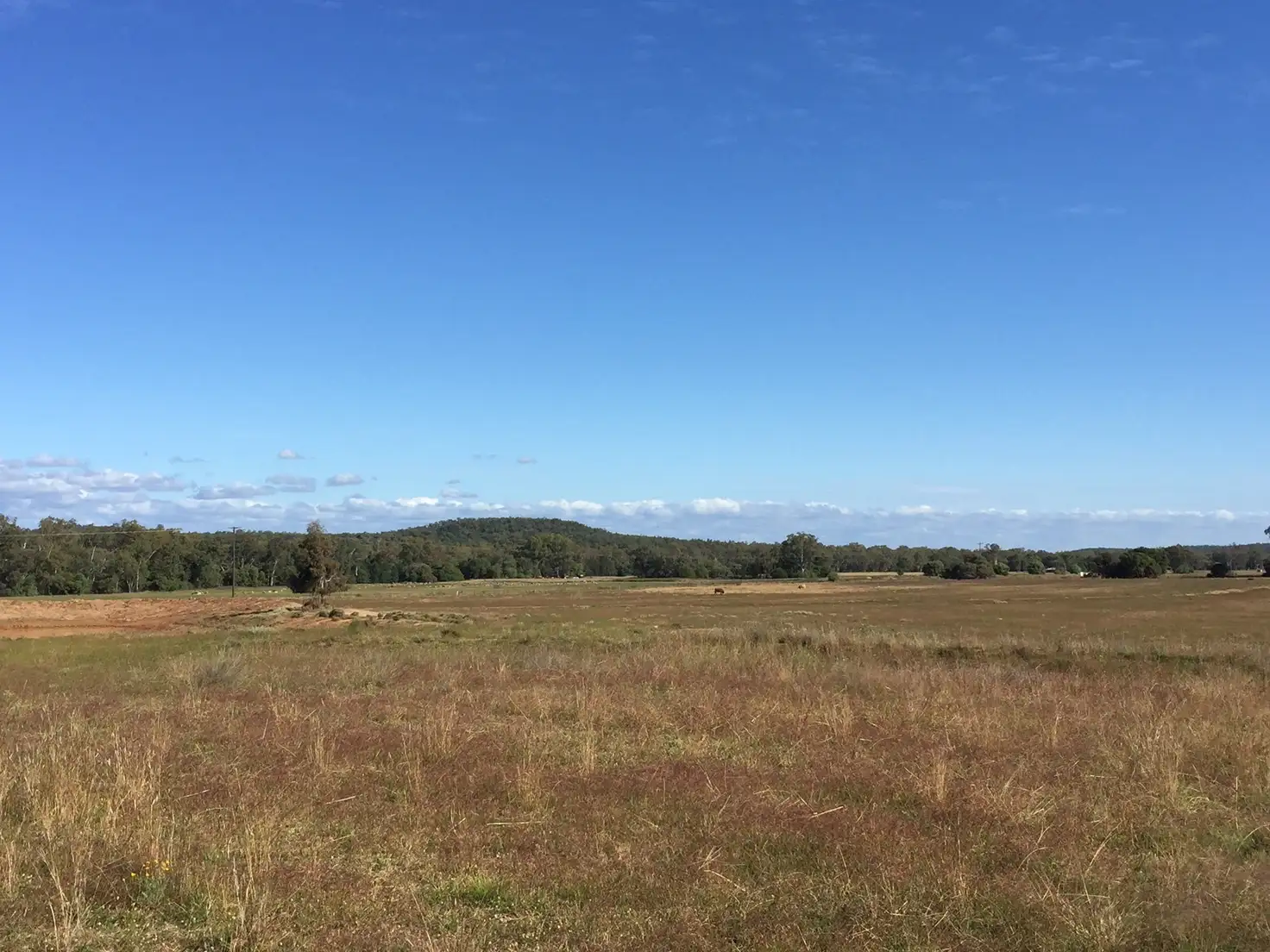 Main view of Homely land listing, 4/1489 Kaputar Road Narrabri, Narrabri NSW 2390
