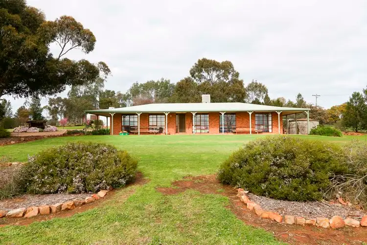 290 Tabain Road, Leeton NSW 2705