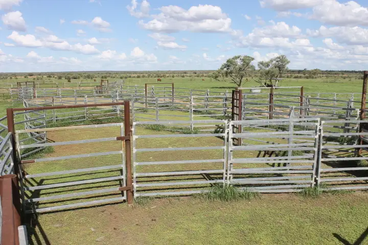 Fifth view of Homely rural property listing, 55140 Capricorn Highway, Barcaldine QLD 4725
