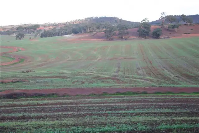 Third view of Homely rural property listing, Lot 7685 Brookton Highway, Brookton WA 6306