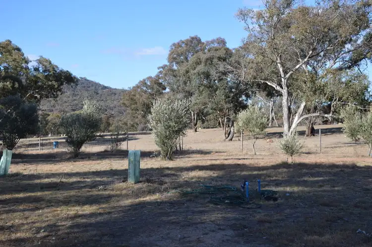 Fifth view of Homely rural property listing, 69 Wilson Road, Mudgee NSW 2850