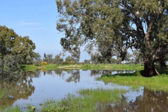 265 Southdown Road, Deniliquin NSW 2710