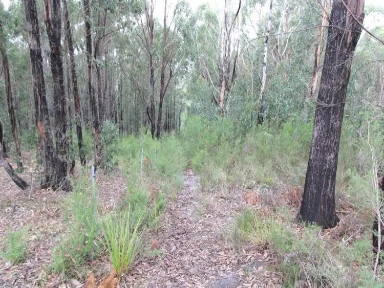 Second view of Homely rural property listing, 8 Gilfedder Terrace, Mirboo North VIC 3871