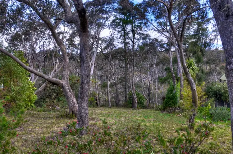 Main view of Homely land listing, 19 Cross Street, Blackheath NSW 2785