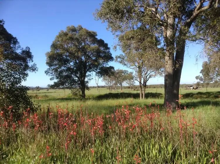 Seventh view of Homely rural property listing, Lot 6238 Mitchell Rd, Benger WA 6223