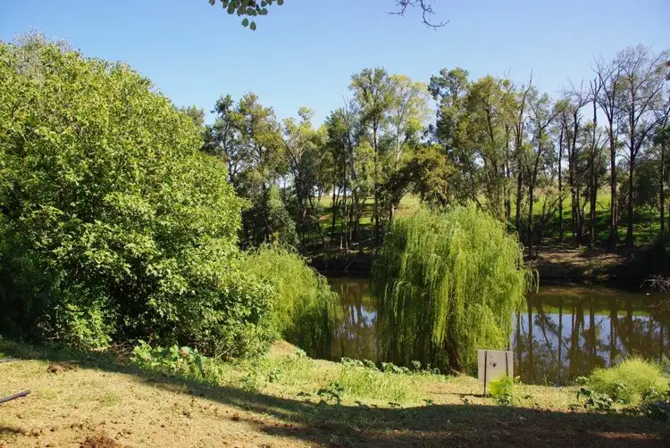Fifth view of Homely house listing, 92 Gobolion Street, Wellington NSW 2820
