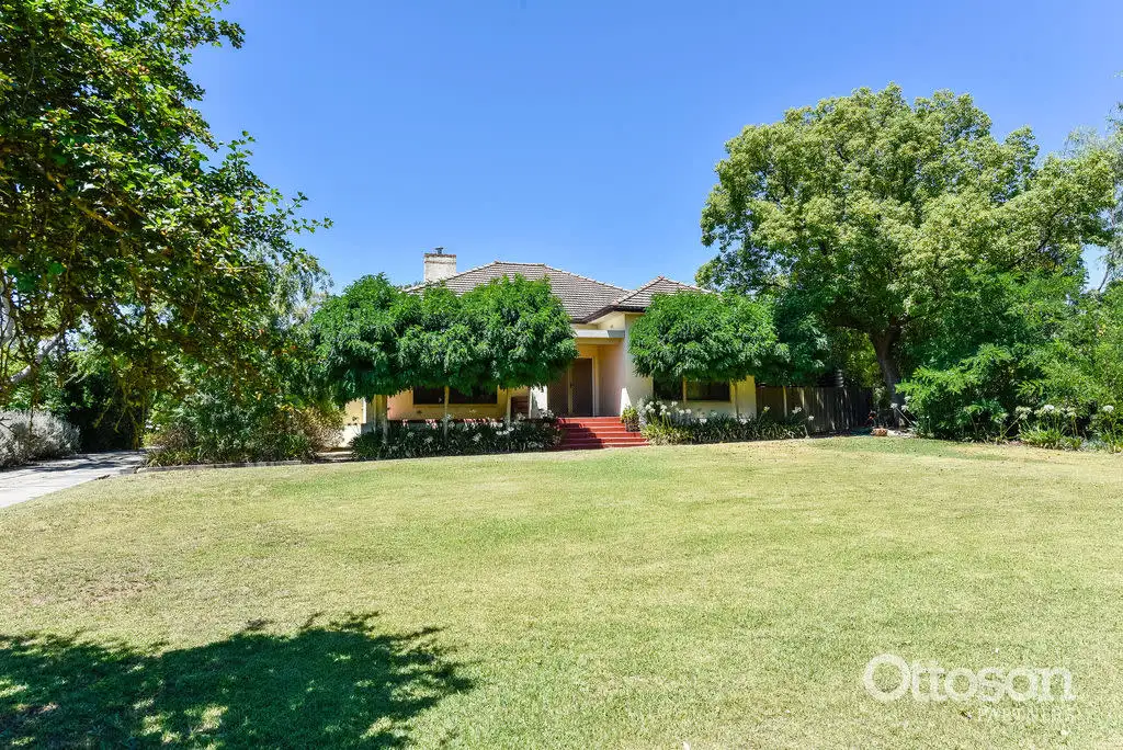 Main view of Homely house listing, 39 Jenkins Terrace, Naracoorte SA 5271