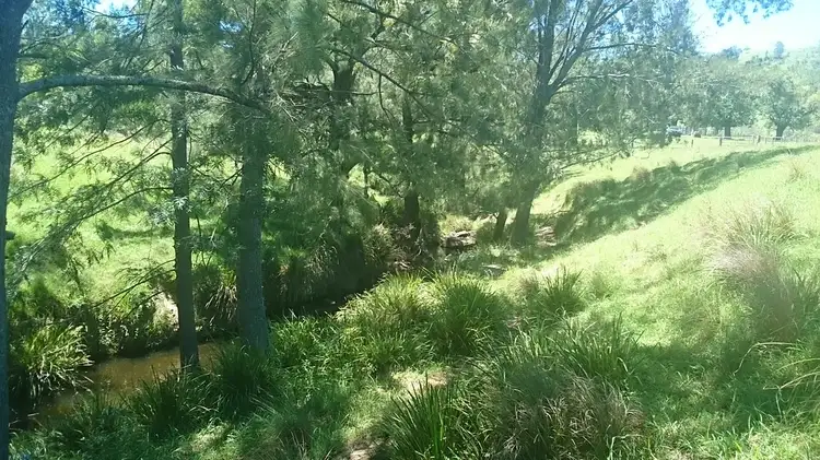 Fourth view of Homely rural property listing, Chads Road Chads Creek Rd, Gresford NSW 2311