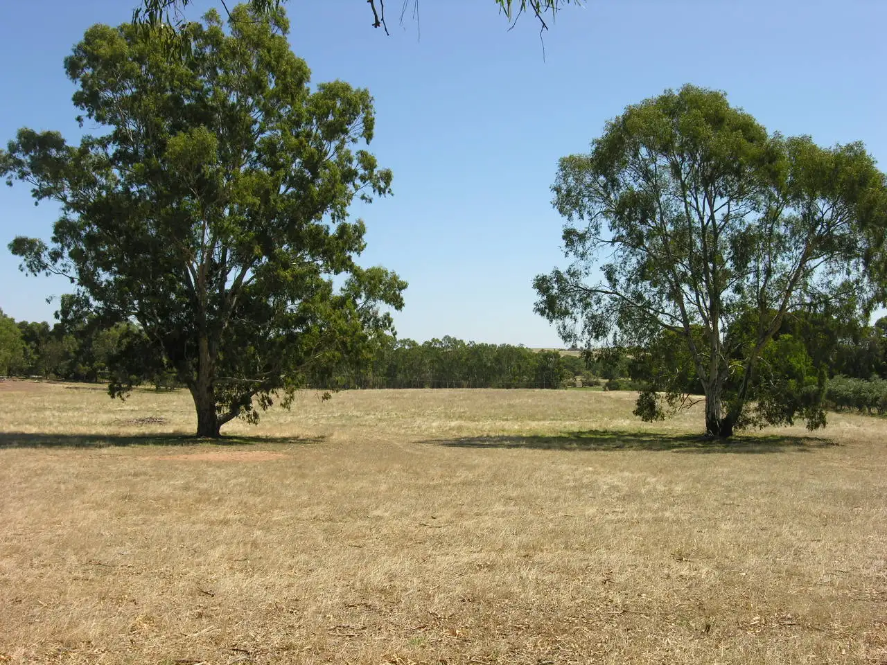 Main view of Homely land listing, Lot 20 Goldfields Road, Cockatoo Valley SA 5351