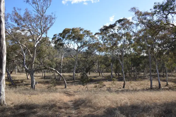Sixth view of Homely rural property listing, 69 Wilson Road, Mudgee NSW 2850