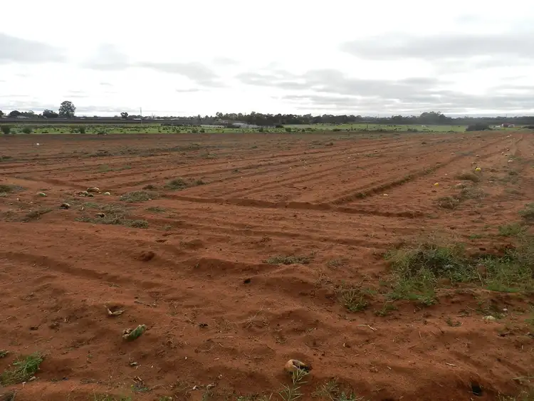 Sixth view of Homely land listing, Lot 2 855 Hunt Road, Barmera SA 5345